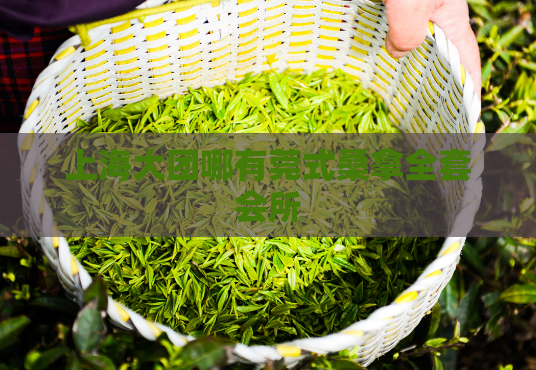 上海大团哪有莞式桑拿全套会所 第1张 上海大团哪有莞式桑拿全套会所 第1张