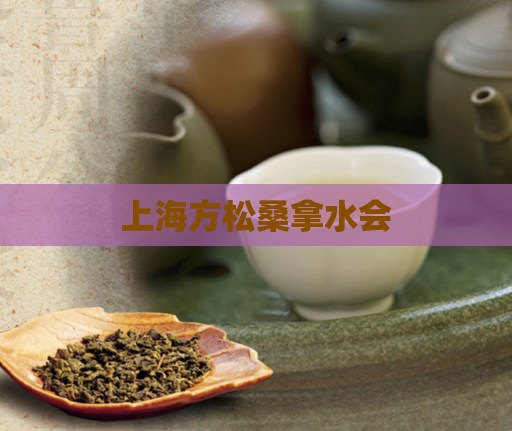 上海方松桑拿水会 第1张 上海方松桑拿水会 第1张