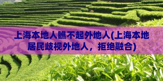 上海本地人瞧不起外地人(上海本地居民歧视外地人,拒绝融合) 第1张 上海本地人瞧不起外地人(上海本地居民歧视外地人,拒绝融合) 第1张
