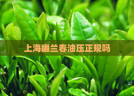 上海幽兰春油压正规吗 第1张 上海幽兰春油压正规吗 第1张