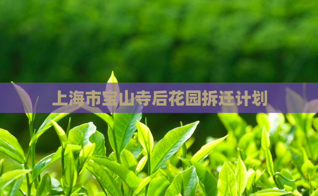 上海市宝山寺后花园拆迁计划 第1张 上海市宝山寺后花园拆迁计划 第1张