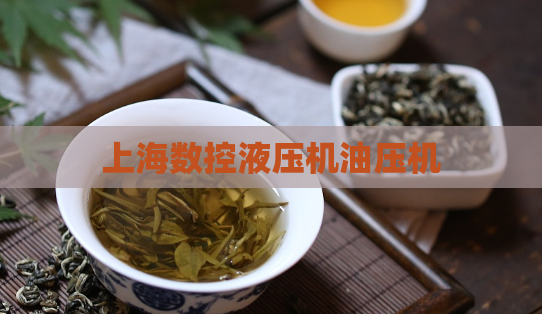 上海数控液压机油压机 第1张 上海数控液压机油压机 第1张