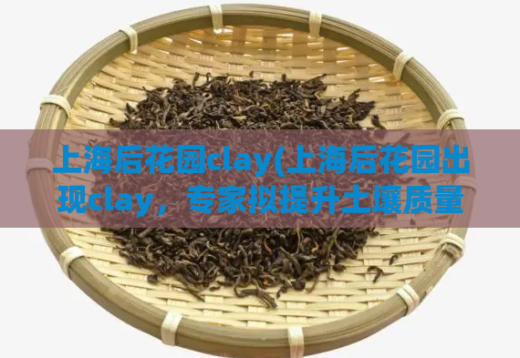 上海后花园clay(上海后花园出现clay,专家拟提升土壤质量。) 第1张 上海后花园clay(上海后花园出现clay,专家拟提升土壤质量。) 第1张