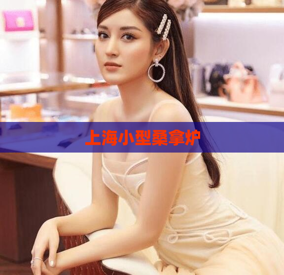 上海小型桑拿炉 第1张 上海小型桑拿炉 第1张