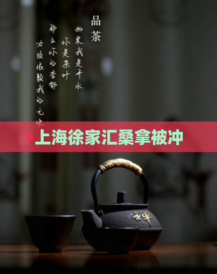 上海徐家汇桑拿被冲 第1张 上海徐家汇桑拿被冲 第1张