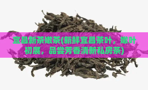 宜昌新茶嫩茶(新鲜宜昌茶叶，嫩叶初展，品尝芳香清新私房茶)  第1张