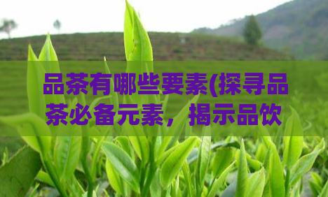 品茶有哪些要素(探寻品茶必备元素，揭示品饮之道)  第1张