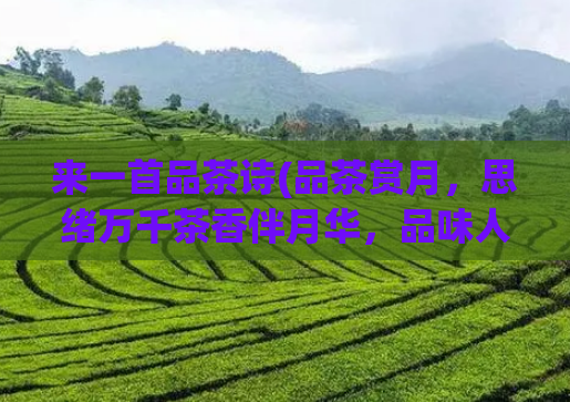 来一首品茶诗(品茶赏月，思绪万千茶香伴月华，品味人生)  第1张