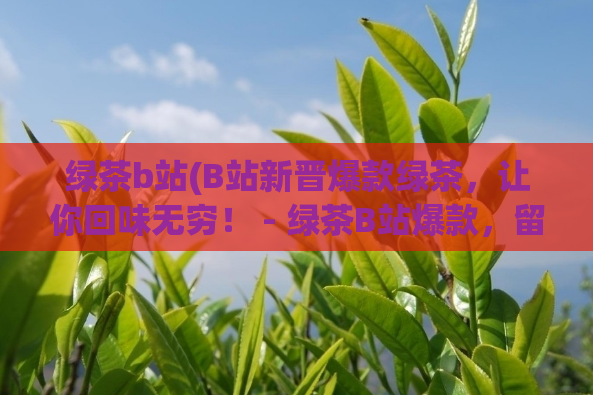 绿茶b站(B站新晋爆款绿茶，让你回味无穷！ - 绿茶B站爆款，留连味蕾不忘！)  第1张