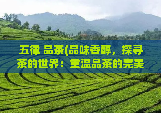 五律 品茶(品味香醇，探寻茶的世界：重温品茶的完美体验)  第1张