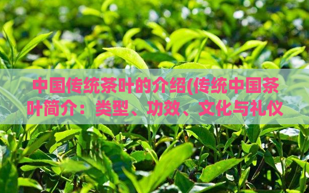 中国传统茶叶的介绍(传统中国茶叶简介：类型、功效、文化与礼仪)  第1张