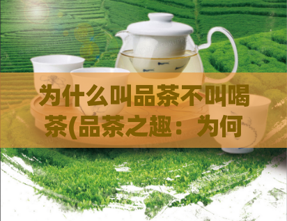 为什么叫品茶不叫喝茶(品茶之趣：为何不称为“喝茶”？)  第1张