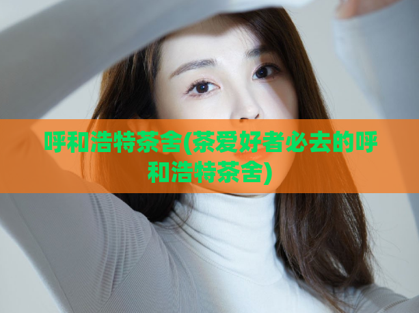 呼和浩特茶舍(茶爱好者必去的呼和浩特茶舍)  第1张
