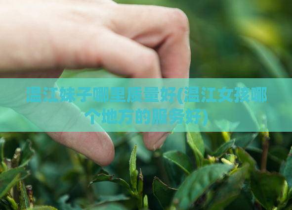 温江妹子哪里质量好(温江女孩哪个地方的服务好)  第1张