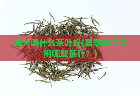 夏天喝什么茶叶好(夏季适合饮用哪些茶叶？)  第1张