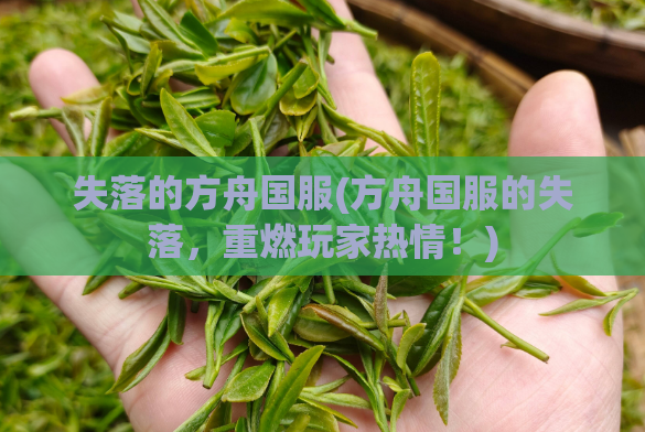 失落的方舟国服(方舟国服的失落，重燃玩家热情！)  第1张