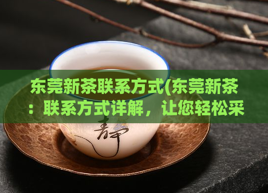 东莞新茶联系方式(东莞新茶：联系方式详解，让您轻松采购)  第1张
