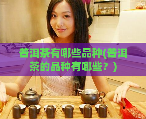 普洱茶有哪些品种(普洱茶的品种有哪些？)  第1张
