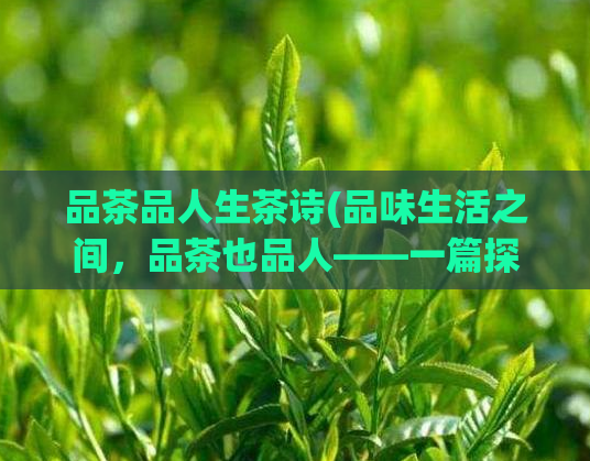 品茶品人生茶诗(品味生活之间，品茶也品人——一篇探索茶文化的诗意文章)  第1张