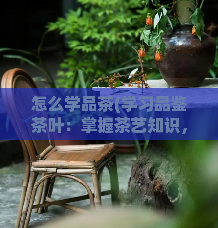 怎么学品茶(学习品鉴茶叶：掌握茶艺知识，品味高品质茶叶)  第1张