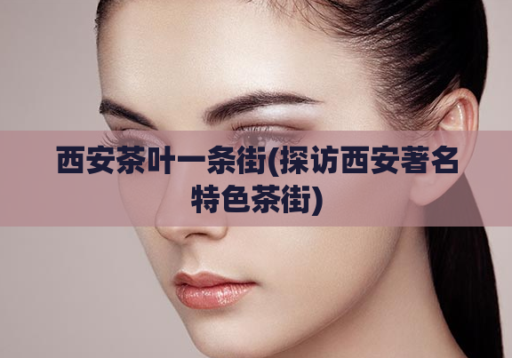 西安茶叶一条街(探访西安著名特色茶街)  第1张