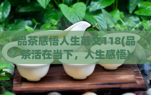 品茶感悟人生范文118(品茶活在当下，人生感悟)  第1张
