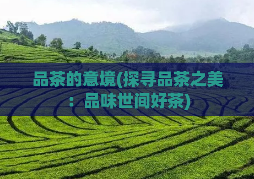 品茶的意境(探寻品茶之美：品味世间好茶)  第1张