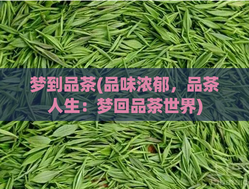 梦到品茶(品味浓郁，品茶人生：梦回品茶世界)  第1张