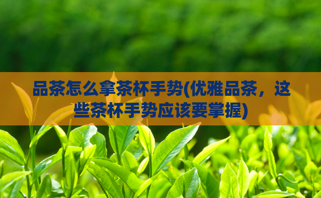 品茶怎么拿茶杯手势(优雅品茶，这些茶杯手势应该要掌握)  第1张