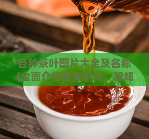 各种茶叶图片大全及名称(全面介绍各类茶叶，想知道茶叶的名称和图片吗？来这里！)  第1张