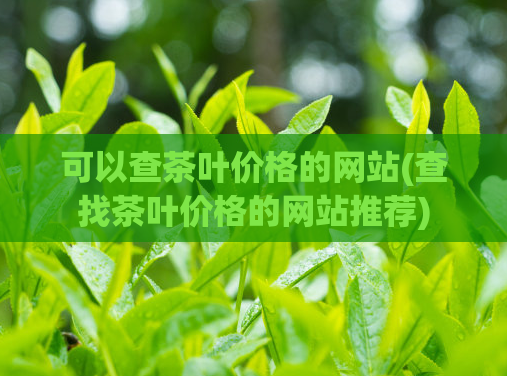 可以查茶叶价格的网站(查找茶叶价格的网站推荐)  第1张