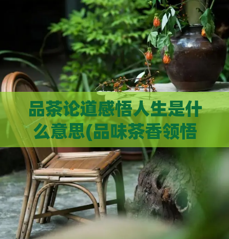 品茶论道感悟人生是什么意思(品味茶香领悟生命，重寻人生足迹)  第1张