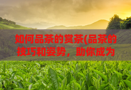 如何品茶的赏茶(品茶的技巧和姿势，助你成为茶叶品味高手)  第1张