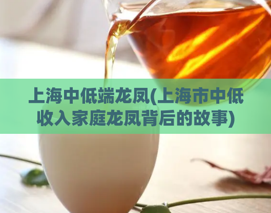 上海中低端龙凤(上海市中低收入家庭龙凤背后的故事)  第1张