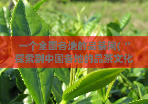 一个全国各地的品茶网(“探索到中国各地的品茶文化，从而领略茶香四溢的美景”)  第1张