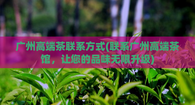 广州高端茶联系方式(联系广州高端茶馆，让您的品味无限升级)  第1张