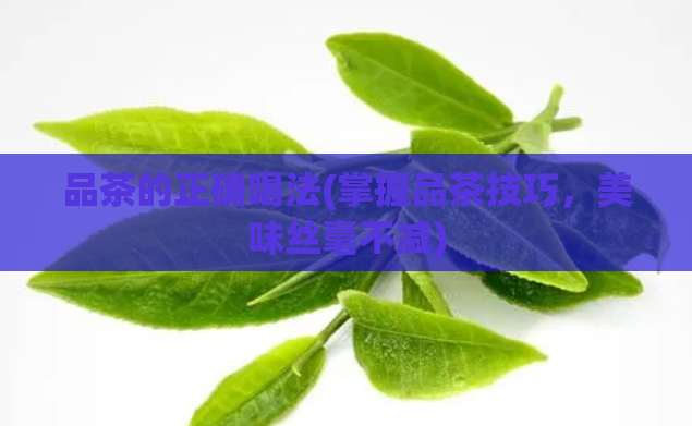 品茶的正确喝法(掌握品茶技巧，美味丝毫不减)  第1张