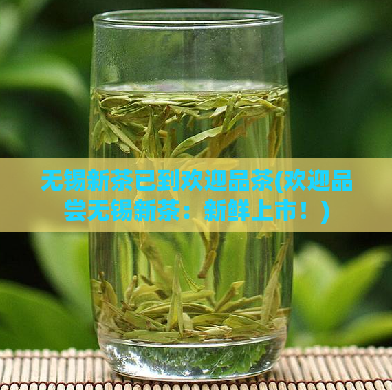 无锡新茶已到欢迎品茶(欢迎品尝无锡新茶：新鲜上市！)  第1张