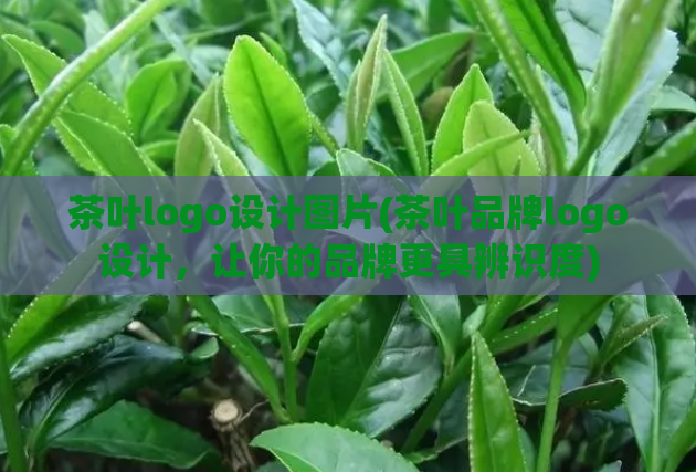 茶叶logo设计图片(茶叶品牌logo设计，让你的品牌更具辨识度)  第1张