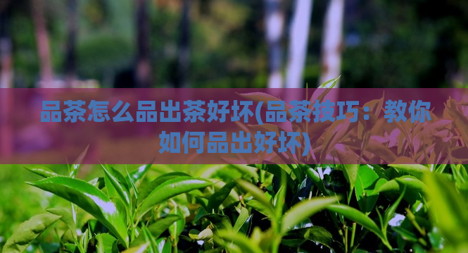 品茶怎么品出茶好坏(品茶技巧：教你如何品出好坏)  第1张