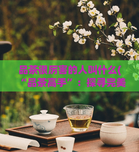 品茶很厉害的人叫什么(“品茶高手”：探寻完美品茶之道)  第1张