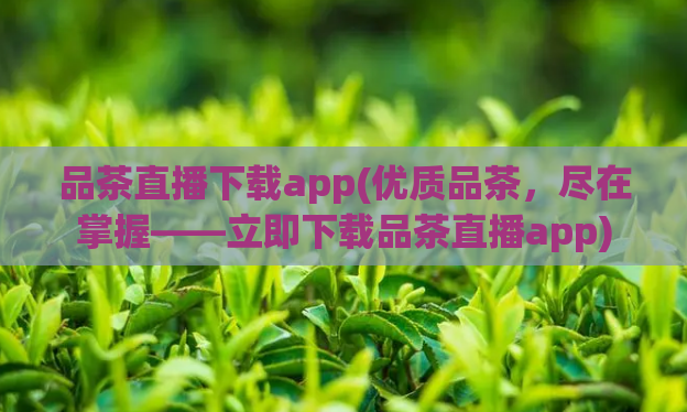 品茶直播下载app(优质品茶，尽在掌握——立即下载品茶直播app)  第1张