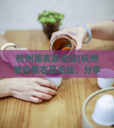 杭州薰衣草论坛(杭州举办薰衣草论坛，分享芳香知识和体验)  第1张