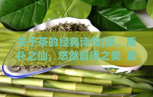 关于茶的经典诗句(茶，质朴之仙，悠然自得之美  质朴之美，茶自悠然) 第1张