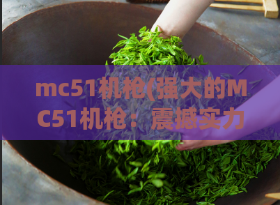 mc51机枪(强大的MC51机枪：震撼实力激发战斗激情)  第1张
