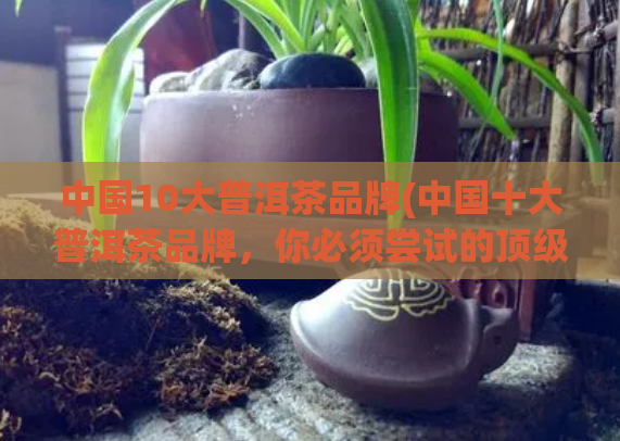 中国10大普洱茶品牌(中国十大普洱茶品牌，你必须尝试的顶级选择)  第1张