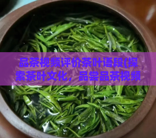 品茶视频评价茶叶语段(探索茶叶文化，品尝品茶视频带来的品质生活)  第1张