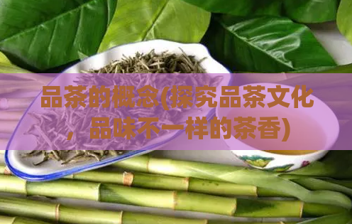 品茶的概念(探究品茶文化，品味不一样的茶香)  第1张