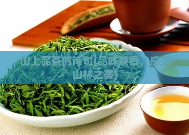 山上品茶的诗句(品味茶香，感受山林之美)  第1张