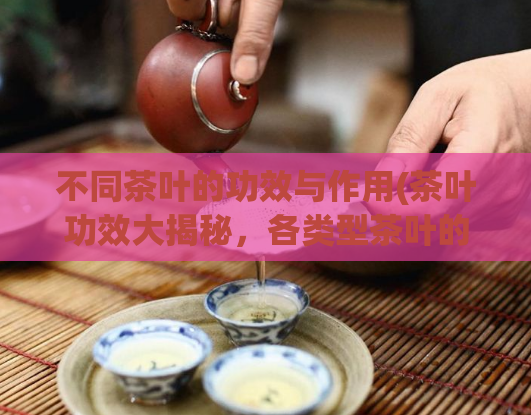不同茶叶的功效与作用(茶叶功效大揭秘，各类型茶叶的不同作用！)  第1张